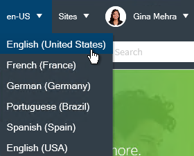 Culture selector in CSM Portal